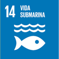 ODS 14 — Vida submarina